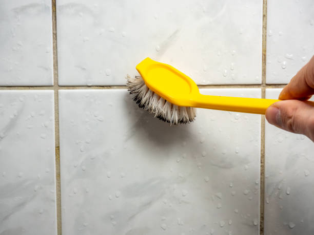 Office Mold Removal Services in White Oak, OH